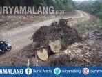 jalan-lintas-selatan-jls-di-hutan-lindung-kondangmerak-kecamatan-bantur-kabupaten-malang.jpg