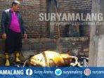 kabid-pemadam-kebakaran-satpol-pp-tulungagung-rakidi-memeriksa-bangkai-sapi-yang-terbakar_20180501_142611.jpg
