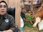 kasus-sapi-PMK-Jatim-Ka-dinas-peternakan.jpg