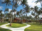 kawasan-tempat-penginapa-model-rumah-using-di-banyuwangi.jpg