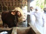 khofifah-indar-parawansa-melihat-kesehatan-hewan-ternak.jpg