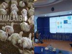 kolase-surta-malang-harga-ayam-anjlok-dan-pemkab-malang-gagal-memberikan-paparan-video.jpg