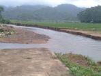 kondisi-sawah-milik-warga-di-desa-pujiharjo-yang-terendam-banjir.jpg