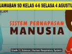 kunci-jawaban-sd-kelas-4-6-selasa-4-agustus-2020-mengapa-virus-corona-menganggu-sistem-pernapasan.jpg