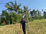 listrik-tak-bertiang.jpg