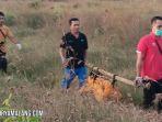 NGERI - Ada Manusia Dibakar di Ladang Desa Saggra Agung Kecamatan Socah, Bangkalan