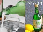 mojiso-soju-halal-asal-indonesia.jpg
