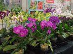 pameran-anggrek-Batu-International-Orchid-Show-2022.jpg