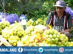 petani-jual-apel.jpg