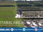 DTPHP Kabupaten Malang Intensif Tingkatan Perekonomian Petani