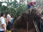 petugas-dan-warga-membersihkan-pohon-tumbang-di-arjasa-jember-kamis-5122019.jpg