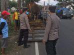 petugas-gabungan-memeriksa-hewan-di-kecamatan-ngantru-tulungagung.jpg