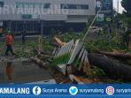 pohon-tumbang-akibat-hujan-lebat-dan-angin-kencang-di-kepanjen-kabupaten-malang.jpg