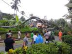 pohon-tumbang-yang-menimpa-rumah-warga-di-Desa-Modangan-Kecamatan-Nglegok-Kabupaten-Blitar.jpg