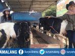 spg-dan-kambing-kurban-nama-artis.jpg