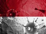 update-virus-corona-di-indonesia.jpg