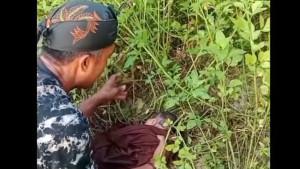Bayi-dibuang3.jpg