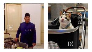 Bobby-Kertanegara.jpg