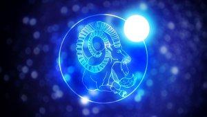 Capricorn1181.jpg