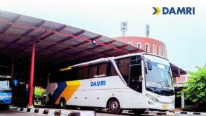 Damri2.jpg