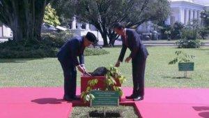Jokowi-PM-anwar-pohon.jpg