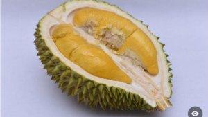 Musang-King.jpg