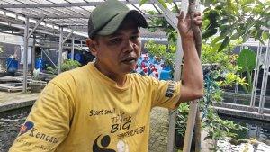 Pengurus-Kaisar-Koi-Farm-Indonesia-Daliman.jpg