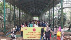 Taman-Margasatwa-Ragunan-TMR-114.jpg