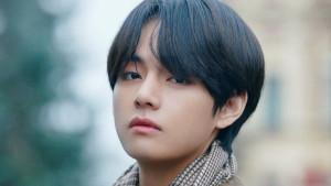 V-BTS-2.jpg