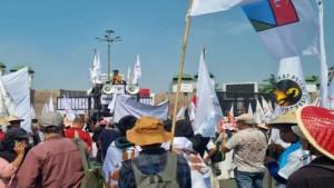 demo10.jpg