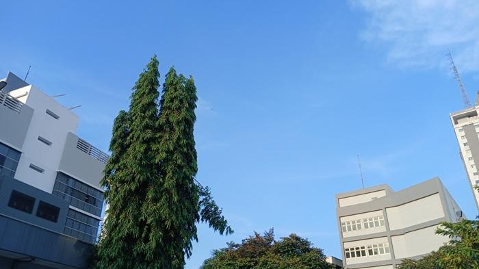 CERAH-0480389.jpg