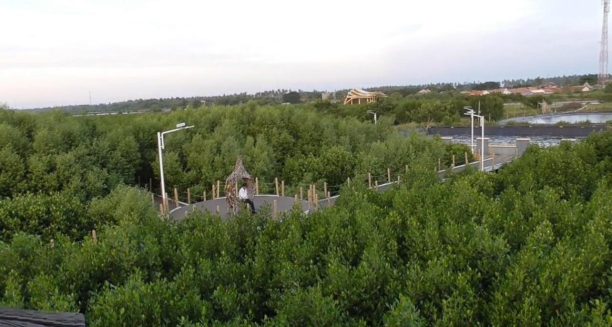Hutan Mangrove Mauk, Surga Tersembunyi di Tangerang untuk Liburan Sejuk dan Instagramable