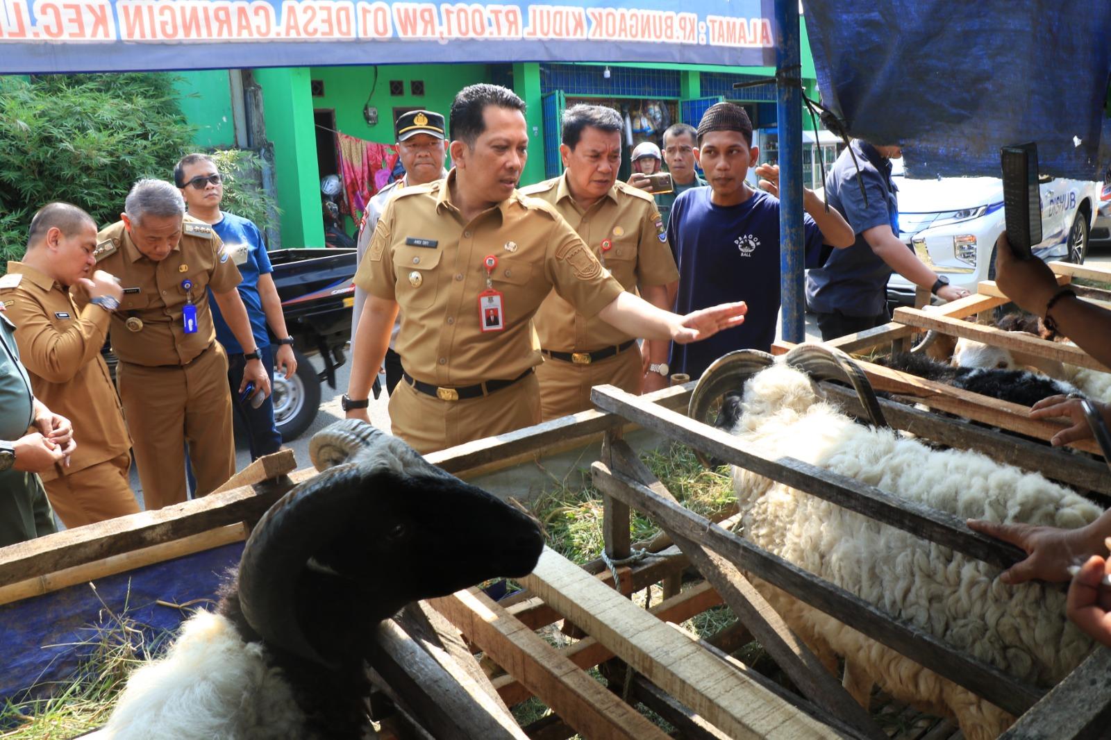 Pemkab Tangerang Gencarkan Pemeriksaan Pastikan Hewan Kurban yang Dijual Pedagang Sehat