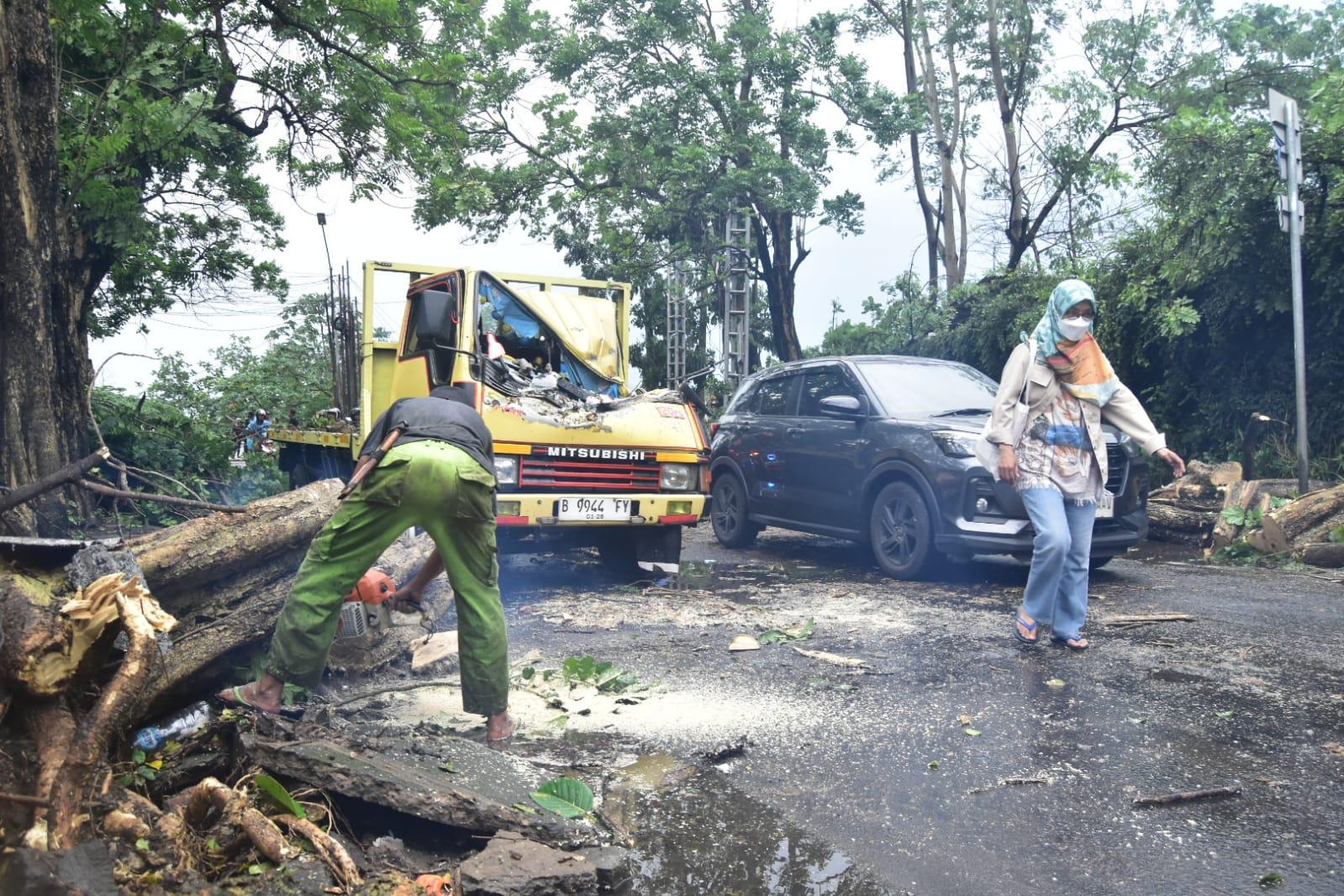 Hujan Deras Angin Kencang Picu Banjir serta Pohon Tumbang, Kawasan Karawaci Dan Periuk Lumpuh