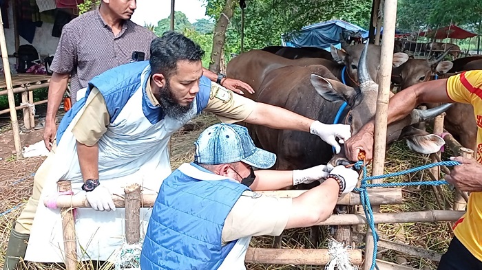 Antisipasi Dini Cegah Wabah Antraks, Pemkab Tangerang Kerahkan Tim Dokter Kesehatan Hewan