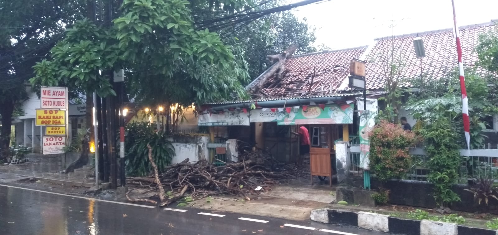 Hujan Deras Guyur Jakarta, Pohon Tumbang Timpa Warung Bakso di Matraman, Dua Orang Luka-luka 