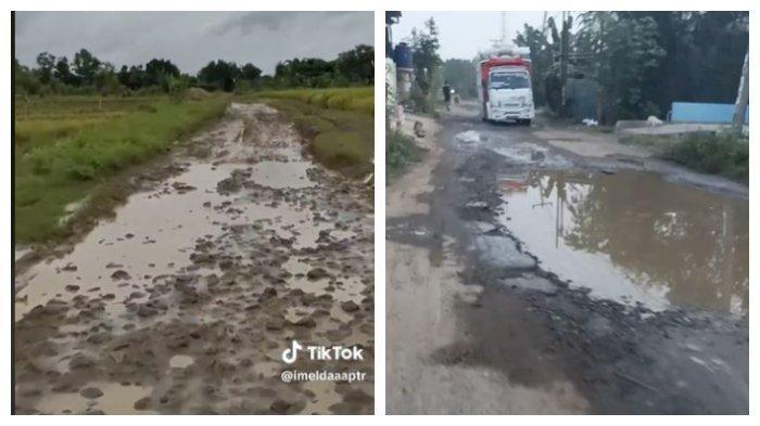 Viral Video Jalan Rusak di Indramayu, Pernah Dikunjungi Nina Agustina saat Kampanye Calon Bupati
