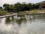Aviary-Park-Indonesia.jpg