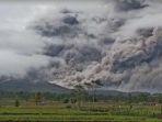 Awan-Panas-Guguran-APG-Gunung-Semeru-membubung-tinggi.jpg