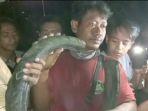Buaya-Palu.jpg