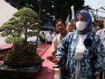 Festival-Bonsai1117.jpg
