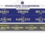 Kasus-Covid-19-di-Indonesia-per-2-Oktober-2021.jpg
