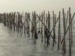 PAGAR-LAUT-134.jpg