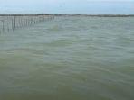 Pagar-Laut3.jpg