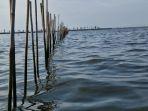 Pagar-Laut6.jpg