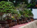 Pameran-bonsai.jpg