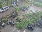 Penampakan-pohon-tumbang-di-halaman-gedung-Dinsos.jpg
