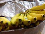 Pisang-impor111.jpg
