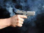Pistol3.jpg