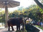 Ragunan135.jpg